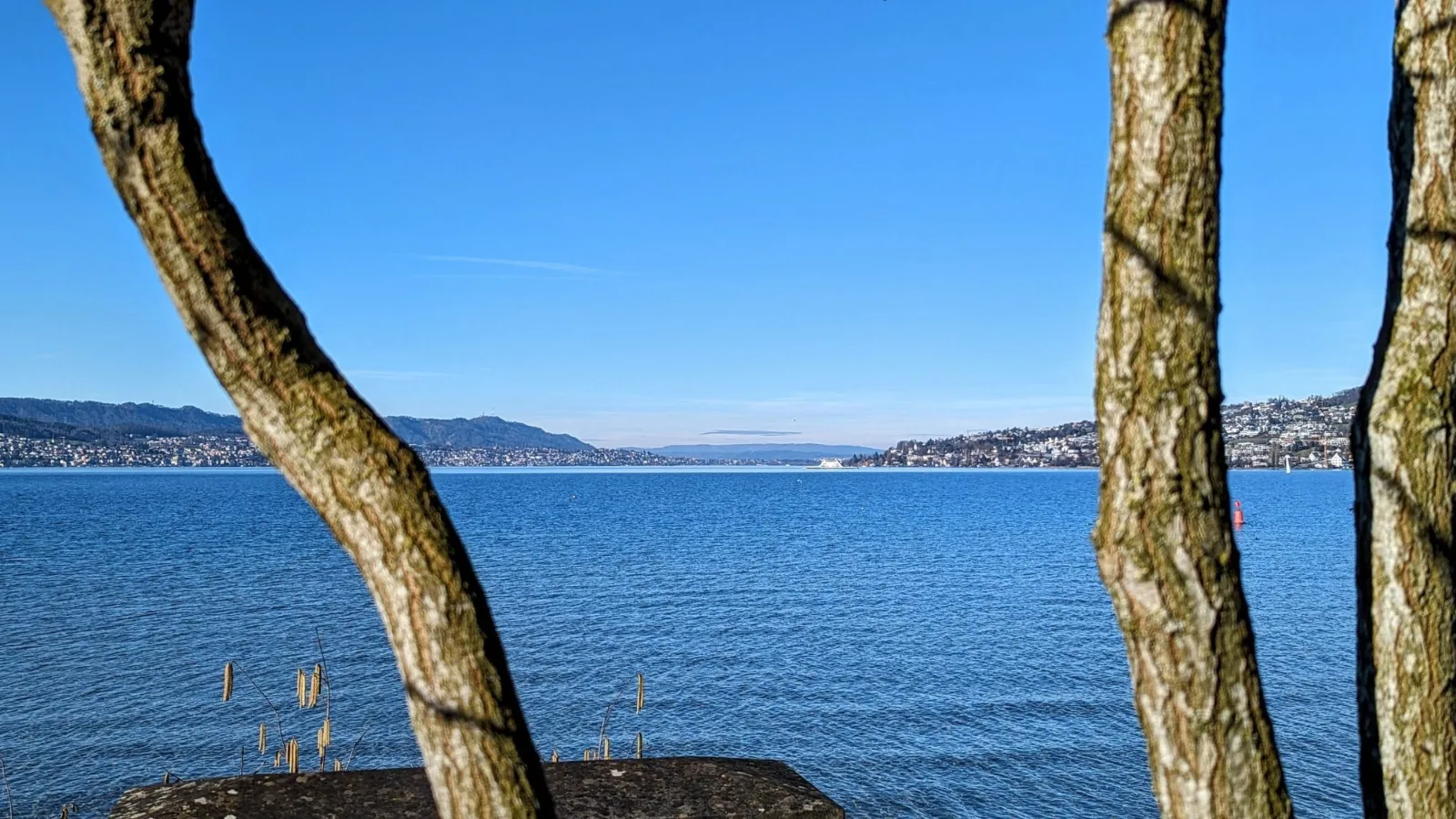 Ausblick