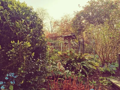 Golden Garden