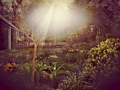 Golden Garden