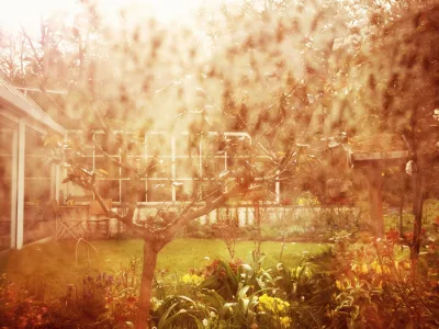 Golden Garden