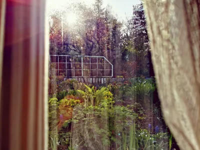 Golden Garden