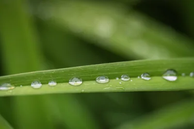Lovely rain