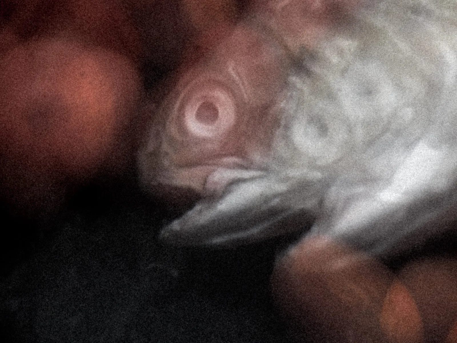 Luftschnapper
