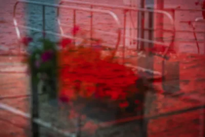 Roter Regen - Red rain