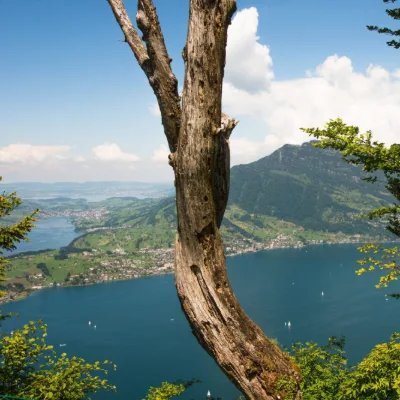 Schöne Aussichten