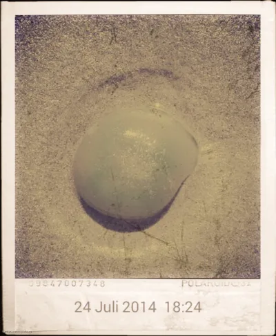 Und es war Sommer 2014