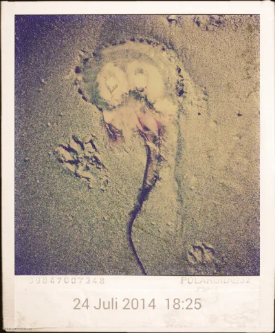 Und es war Sommer 2014