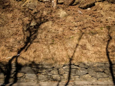 Wer treibt das Schattenspiel?
